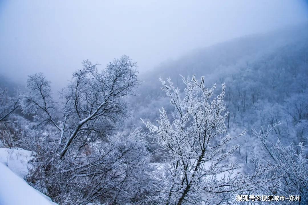 复制BUG又来了？暴雪再次关闭《暗黑4》交易功能
